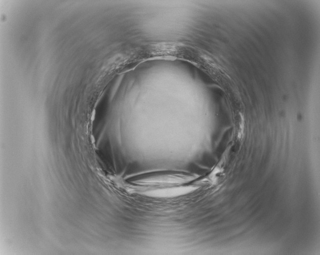 X0000052641441200507221803