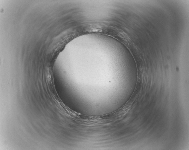 X0000052641442200507221803