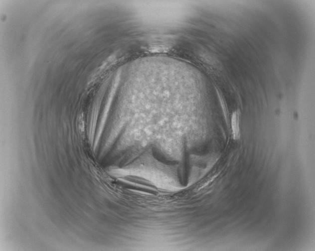 X0000052641443200507221803