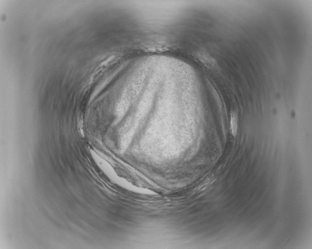 X0000052641444200507221803