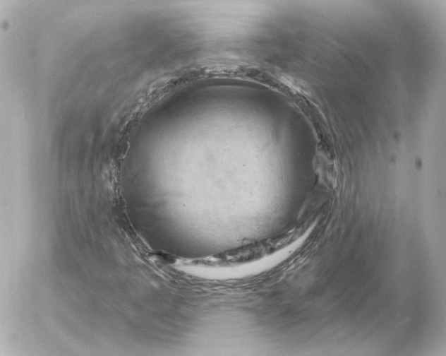 X0000052641445200507221803