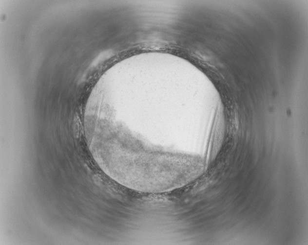 X0000052641446200507221803