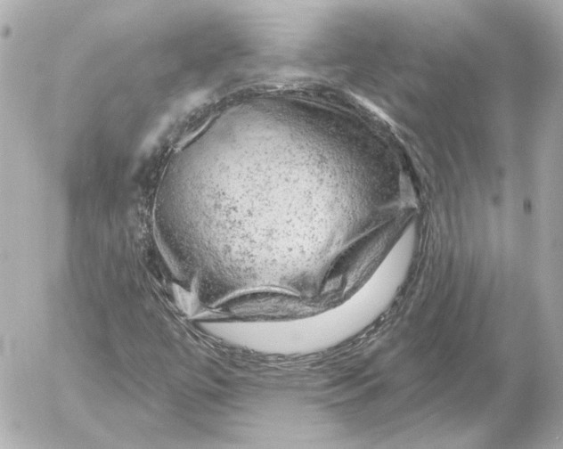 X0000052641447200507221803