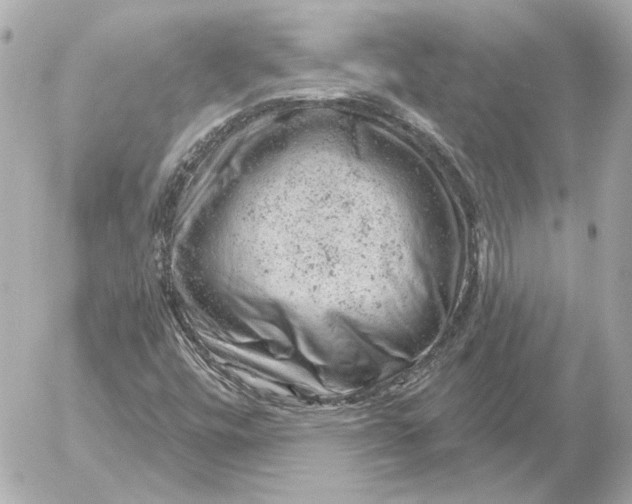 X0000052641448200507221803