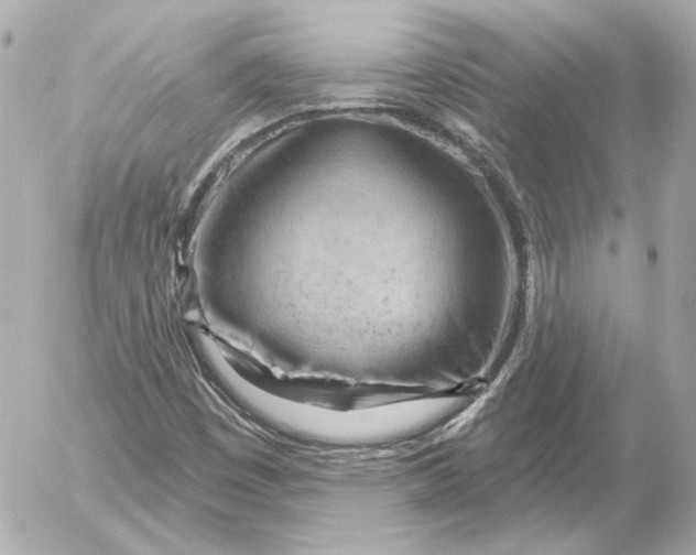 X0000052641449200507221803