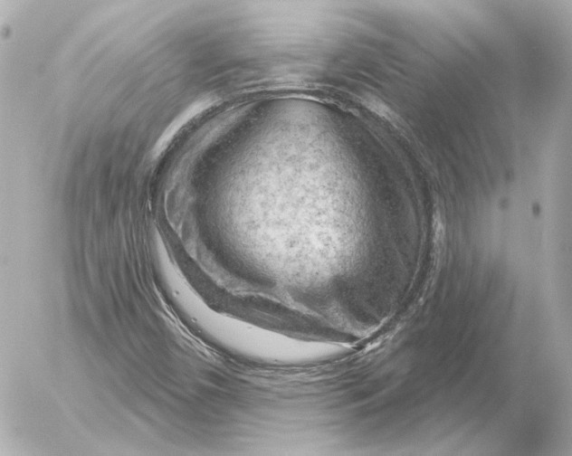 X0000052641450200507221803