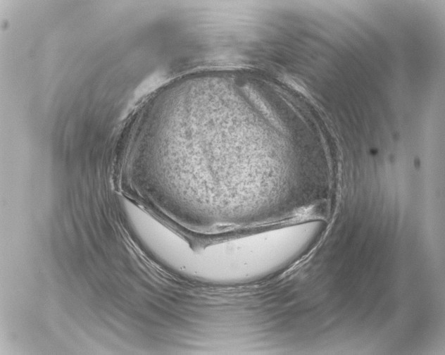 X0000052641451200507221803