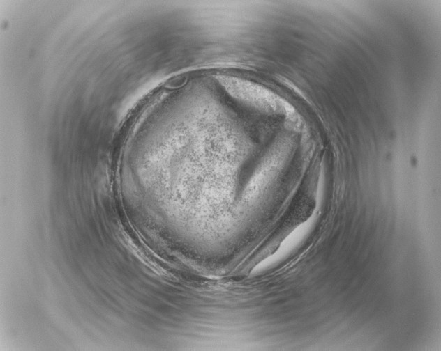 X0000052641452200507221803