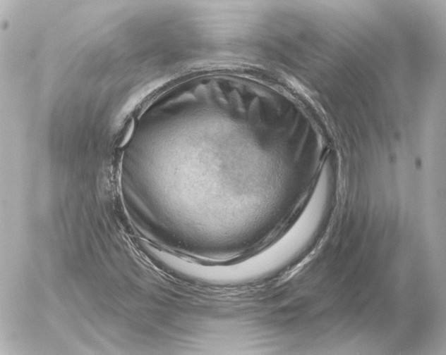 X0000052641453200507221803