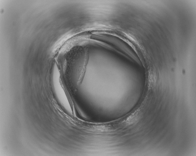 X0000052641455200507221803