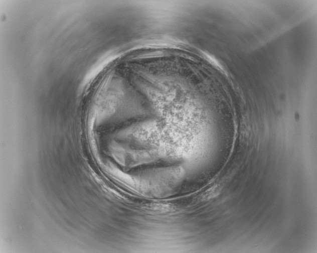 X0000052641456200507221803