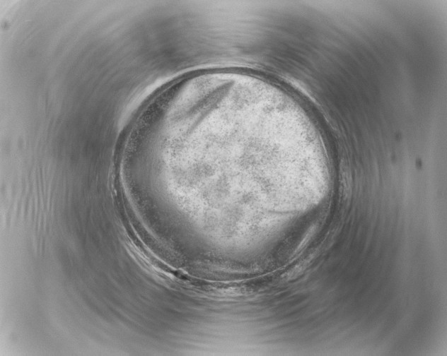 X0000052641460200507221803