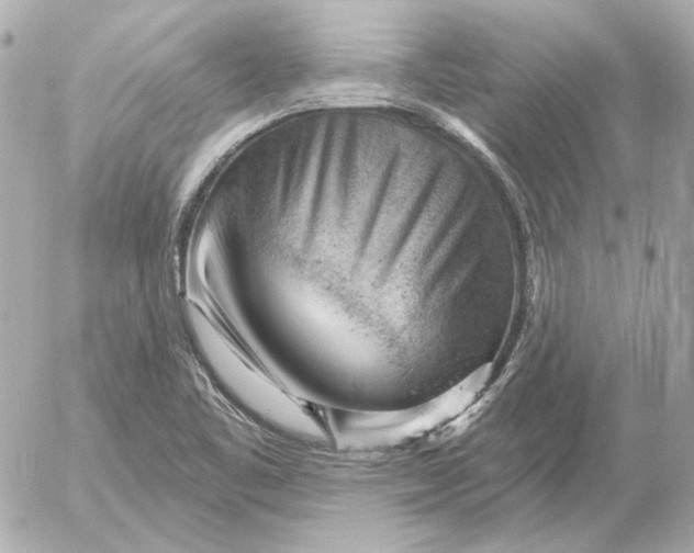 X0000052641461200507221803