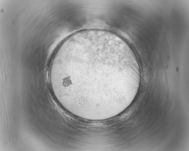 X0000052641462200507221803