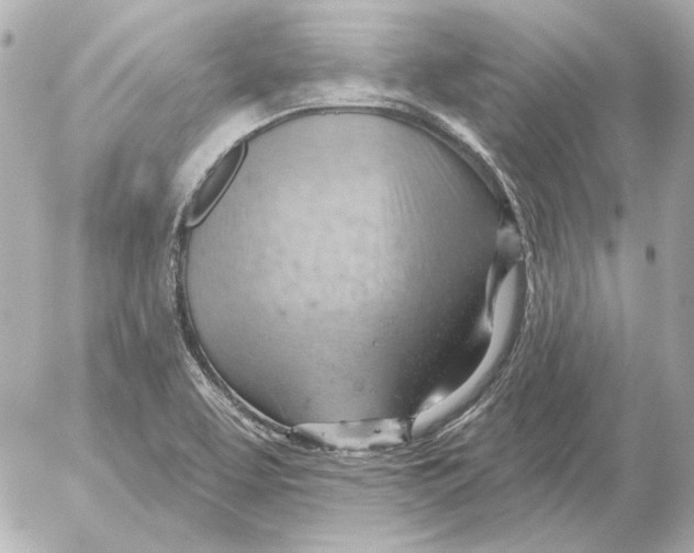 X0000052641463200507221803