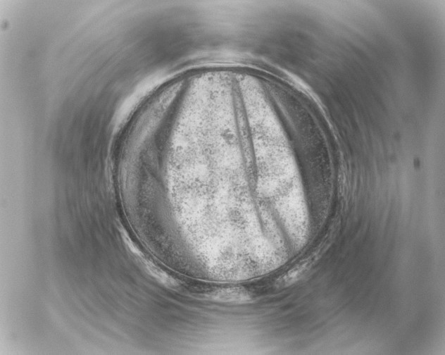 X0000052641464200507221803