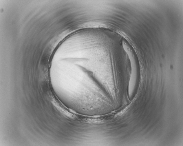 X0000052641465200507221803