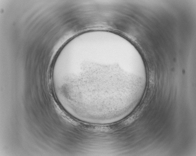 X0000052641466200507221803