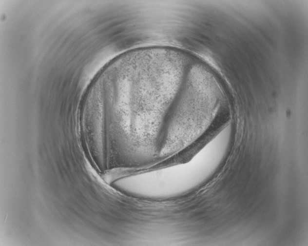 X0000052641468200507221803