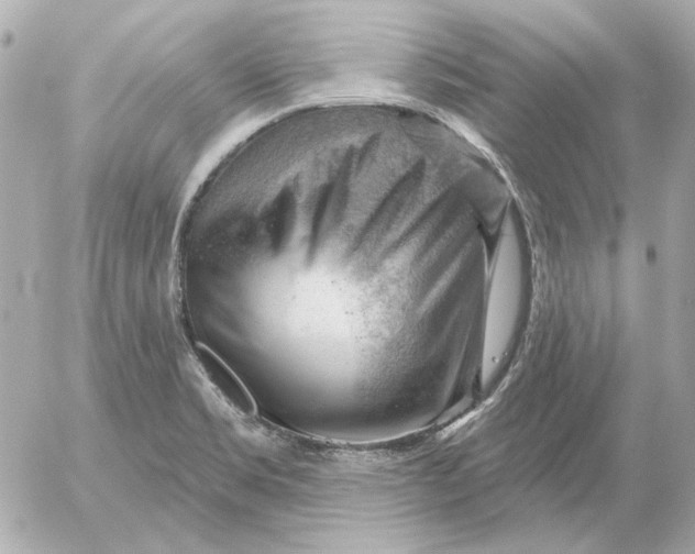 X0000052641469200507221803