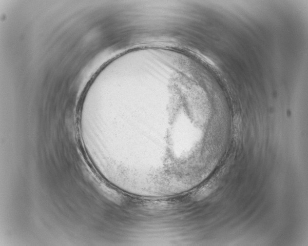 X0000052641470200507221803