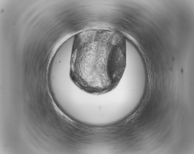 X0000052641471200507221803