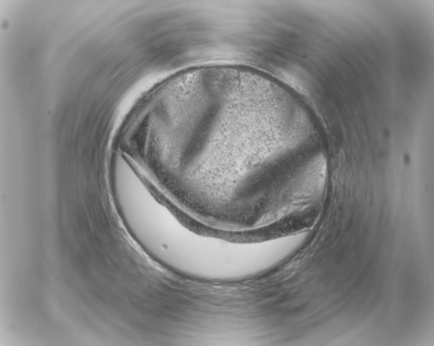 X0000052641472200507221803