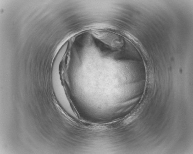 X0000052641473200507221803