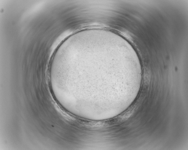 X0000052641474200507221803