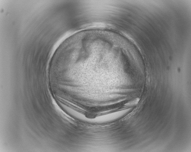 X0000052641475200507221803