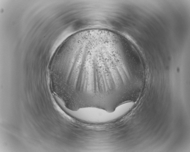 X0000052641476200507221803