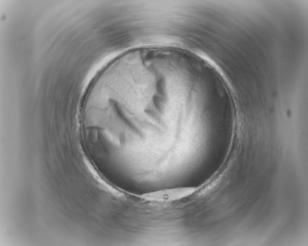 X0000052641477200507221803