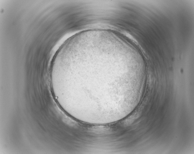 X0000052641478200507221803