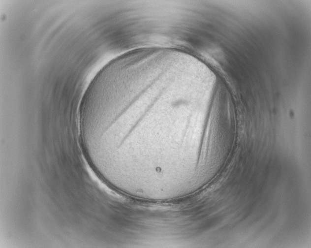 X0000052641479200507221803