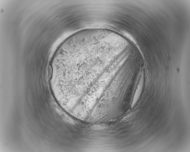 X0000052641480200507221803