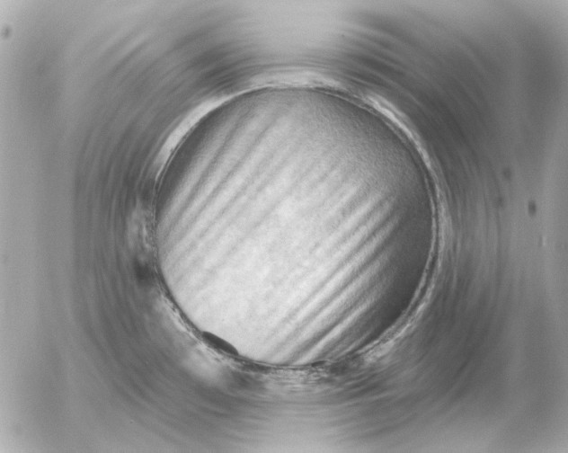 X0000052641481200507221803