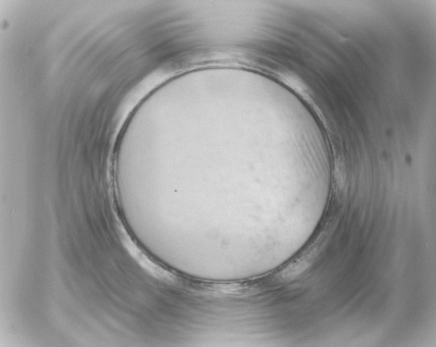 X0000052641482200507221803