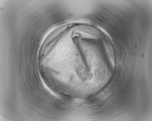 X0000052641483200507221802