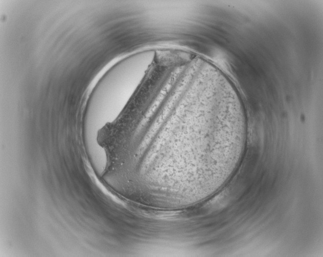 X0000052641484200507221802