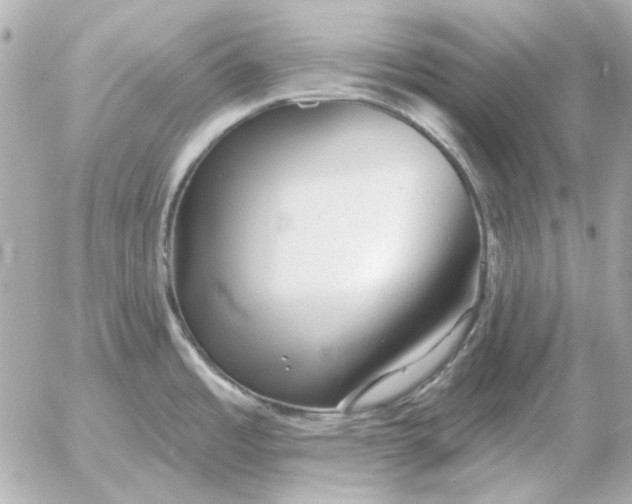 X0000052641485200507221802