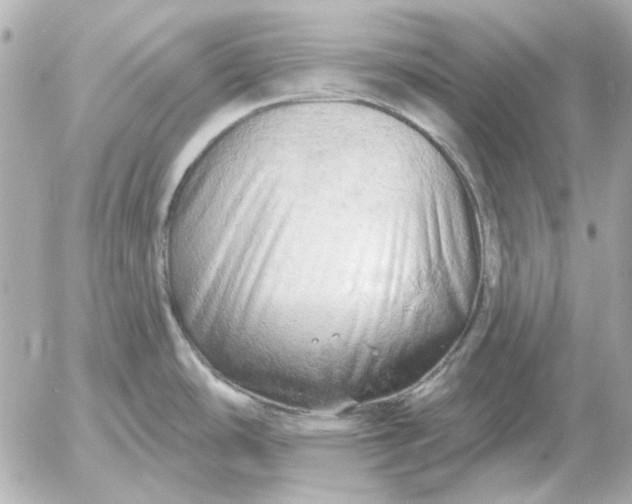 X0000052641486200507221802