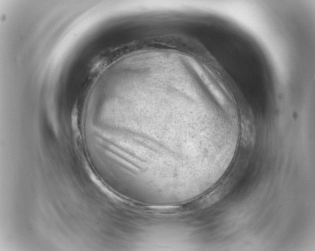 X0000052641487200507221802