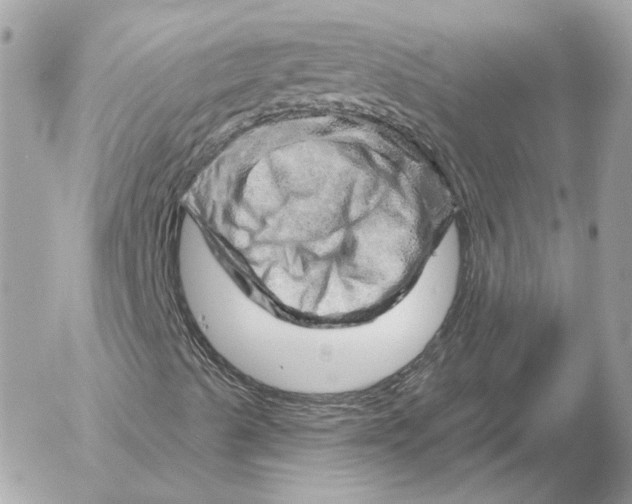 X0000052641489200507221802