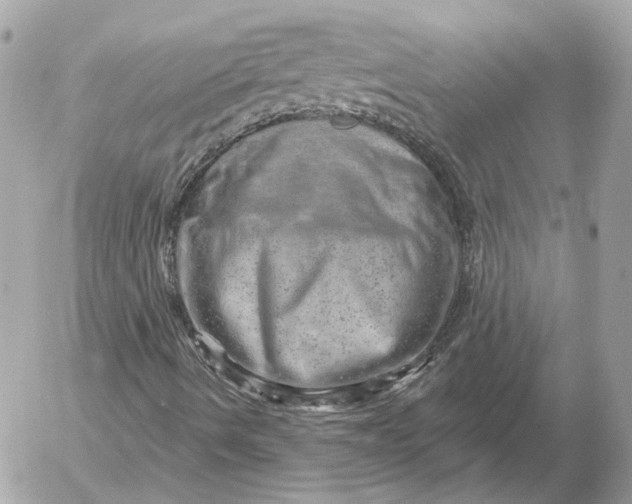 X0000052641490200507221802