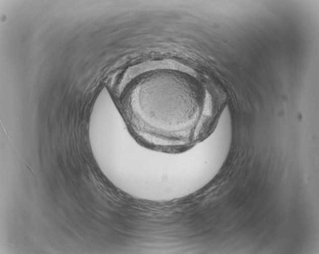 X0000052641491200507221802