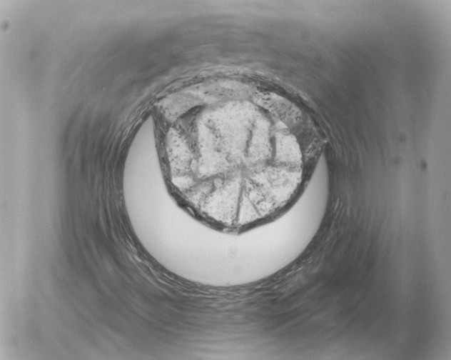 X0000052641492200507221802