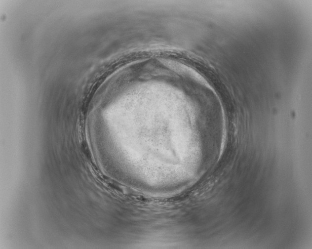 X0000052641493200507221802