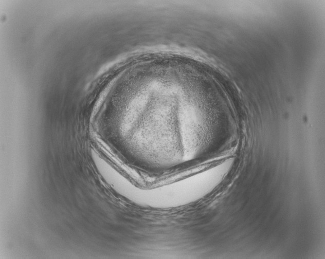 X0000052641494200507221802