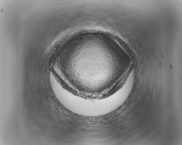 X0000052641495200507221802