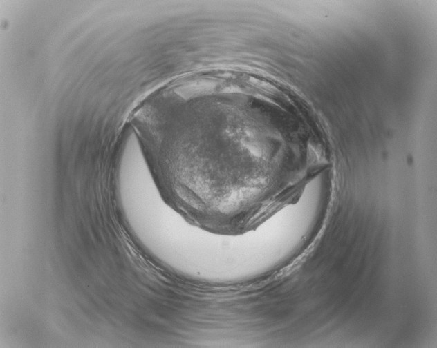 X0000052641497200507221802